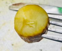 gelbfleischige Belana-Kartoffel
